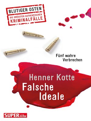 cover image of Falsche Ideale
